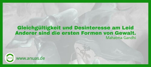 Bild Interviews mit Betroffenen