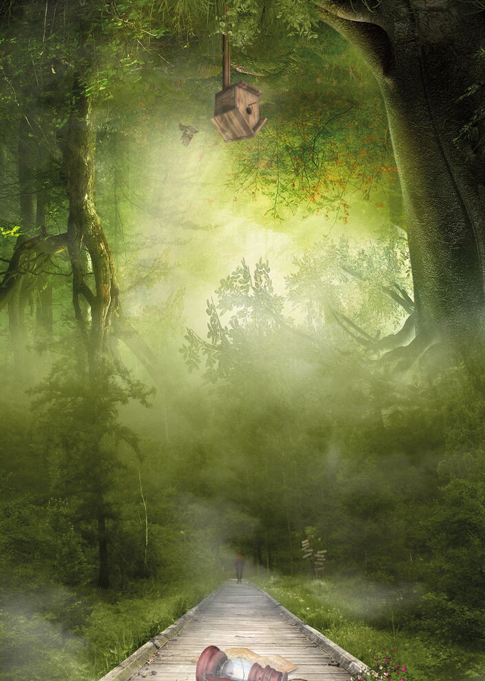 Ein Weg führt durch einen nebligen Wald