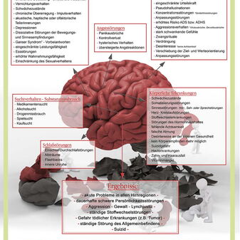 ANUAS Schulungsgrafik