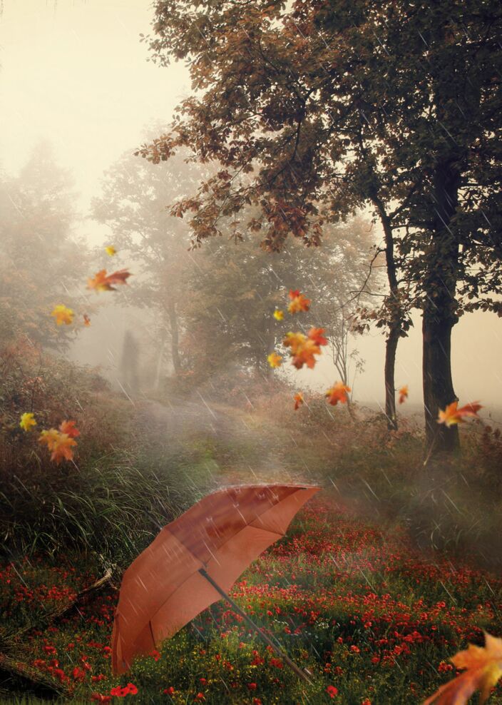 Ein Regenschirm liegt in einem Wald, es regnet, Herbstlaub fliegt umher