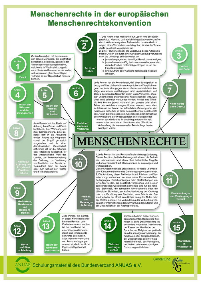 Grafik zeigt einen Baum beschriftet mit den 15 Artikeln der Menschenrechte in der Europäischen Menschenrechtskonvention