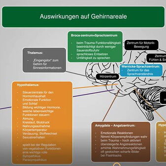 ANUAS Schulungsgrafik