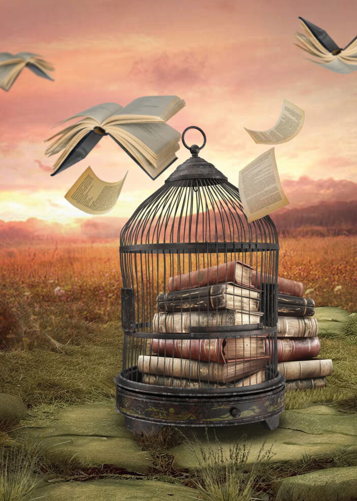 Ein Vogelkäfig mit Büchern gefüllt