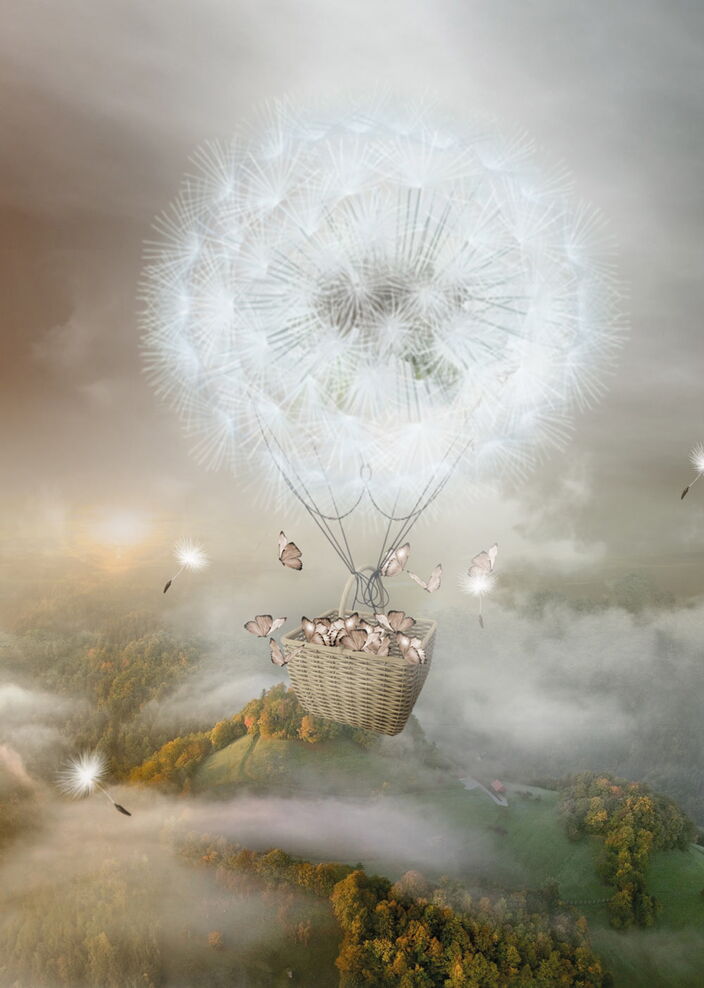 Ballonfahrt mit einem Korb mit Schmetterlingen und einer Pusteblume als Ballon
