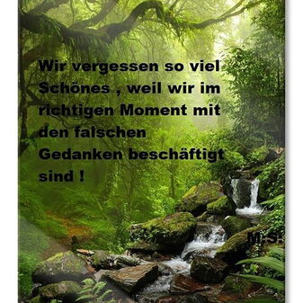 Ein Wasserfall mit Felsen in einem Wald